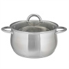 Кастрюля 6,5л, 24x14см, стекл/кр., индукц., нерж. сталь WEBBER (6)