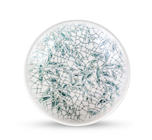 Тарелка глубокая 26см Olive Green Graphics Вилмакс (2)