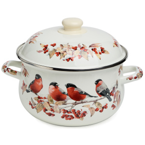 КАСТРЮЛЯ 3,6Л, 22X13СМ, ЭМАЛЬ "СНЕГИРИ" AGNESS (6)